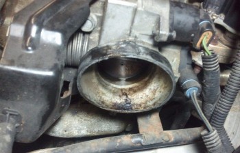 2011-11-27 17.20.10sm.jpg