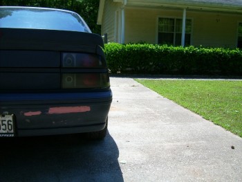 DSCI1293 (800x600).jpg