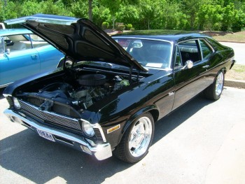 DSCI1095 (800x600).jpg