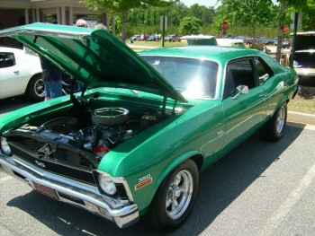 DSCI1097 (800x600).jpg