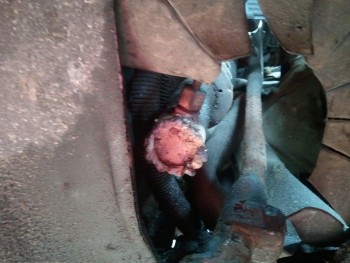 2012-06-04 13.17.47cropped.jpg