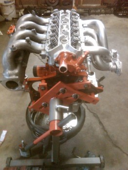 Blackberry Jody 009.jpg