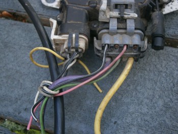 It could also use a bath.