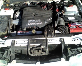Here is a fairly recent pic of the GTU's engine-bay.  I have since replaced the missing 'u' from the valve-cover though.