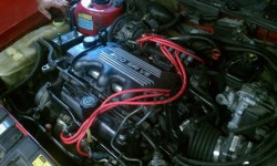 got it painted, lines chromed, new plugs, wires, and misc stuff...still got a lousy lifter tick for now.