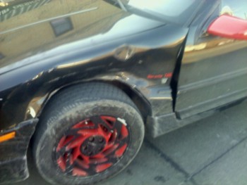 20110219115904 (1).jpg